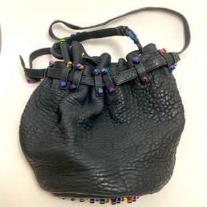 Alexander Wang Diego Bucket Bag w/ Iridescent Hardware